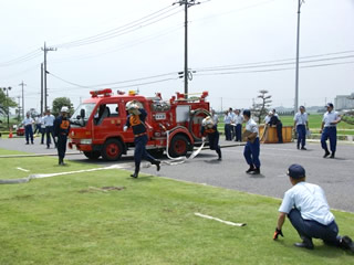 ���h�m ��6�N / �E�l ����